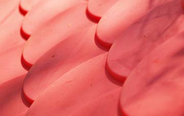 Litchfield plastic roof costs